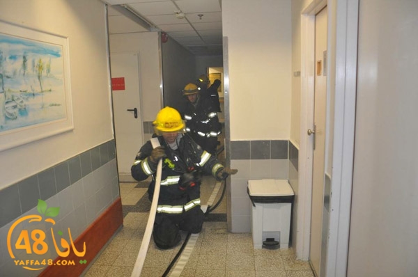 tamren asaf harof3e (6).jpg